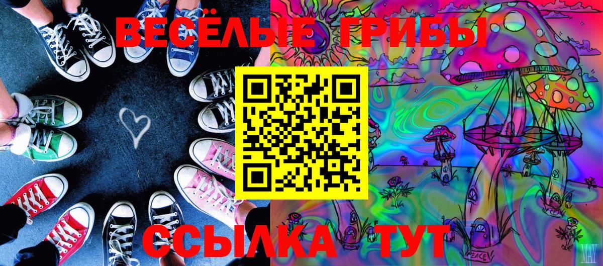 Галлюциногенные грибы прущие грибы Сызрань
